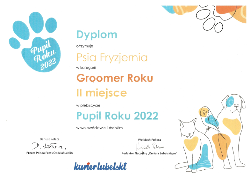 Groomer roku 2022